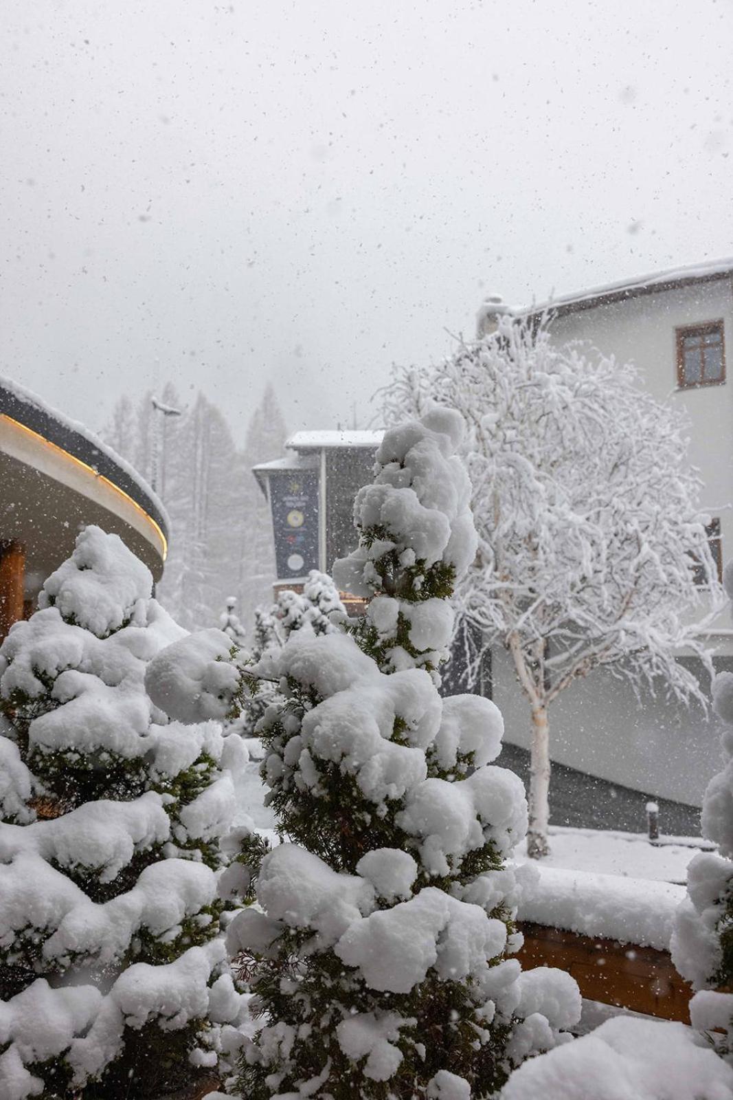 Hotel Garni Ehrenreich ゼルデン エクステリア 写真